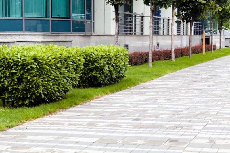 Concrete Footpath Solutions Tweed Heads